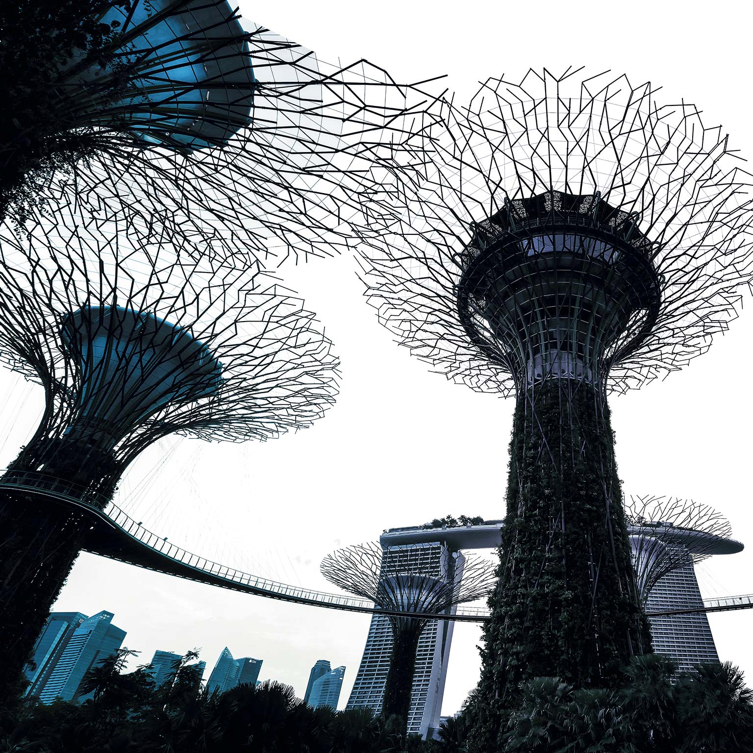 Singapore Gardens