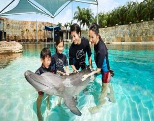 Dolphin Island Singapore